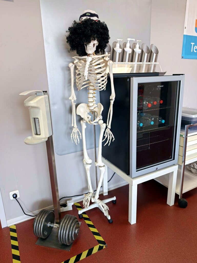 Anatomisches Skelettmodell neben dem Materialschrank